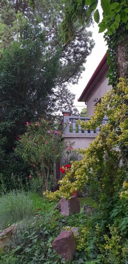 Kasza Villa Balatonfured Exterior photo