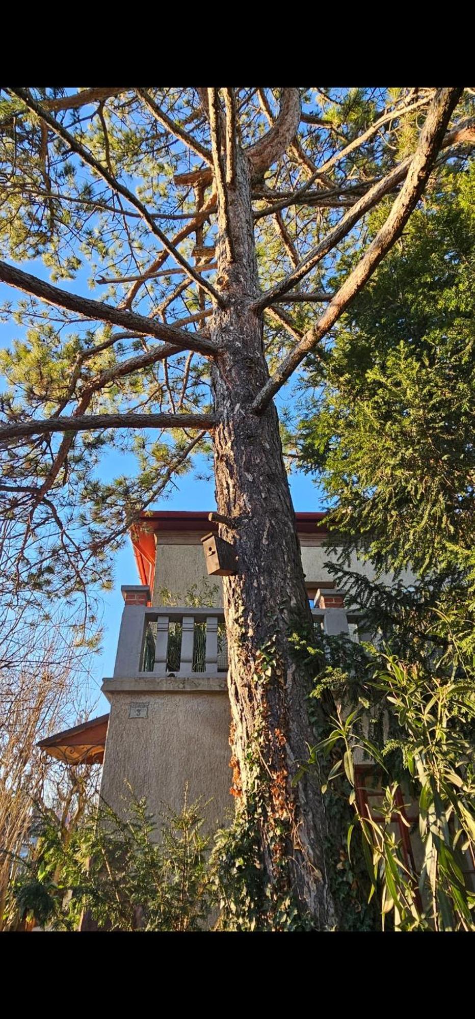 Kasza Villa Balatonfured Exterior photo